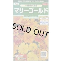 送料無料　花の種　マリーゴールド　一重咲き混合　約50粒　(株)サカタのタネ　実咲250（026295）