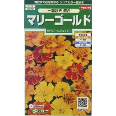 画像1: 花の種　マリーゴールド　一重咲き混合　約50粒　サカタのタネ（株）実咲250