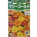 画像1: 送料無料　花の種　マリーゴールド　一重咲き混合　約50粒　(株)サカタのタネ　実咲250（026295） (1)