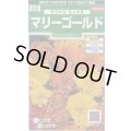 送料無料　花の種　マリーゴールド　サファリミックス　約29粒　(株)サカタのタネ　実咲250（026294）