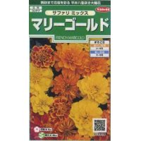 花の種　マリーゴールド　サファリミックス　約29粒　サカタのタネ（株）実咲250
