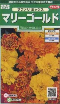 花の種　マリーゴールド　サファリミックス　約29粒　サカタのタネ（株）実咲250