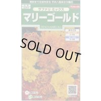 送料無料　花の種　マリーゴールド　サファリミックス　約29粒　(株)サカタのタネ　実咲250（026294）