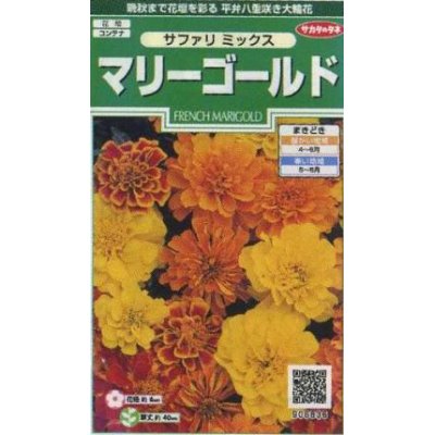 画像1: 花の種　マリーゴールド　サファリミックス　約29粒　サカタのタネ（株）実咲250