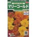 画像1: 花の種　マリーゴールド　サファリミックス　約29粒　サカタのタネ（株）実咲250 (1)