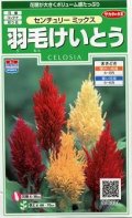 送料無料　花の種　羽毛けいとう　センチュリーミックス　約143粒　(株)サカタのタネ　実咲250（026233）