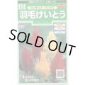 送料無料　花の種　羽毛けいとう　センチュリーミックス　約143粒　(株)サカタのタネ　実咲250（026233）