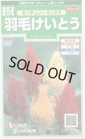送料無料　花の種　羽毛けいとう　センチュリーミックス　約143粒　(株)サカタのタネ　実咲250（026233）