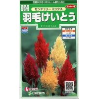 花の種　羽毛けいとう　センチュリーミックス　約143粒　サカタのタネ（株）実咲250