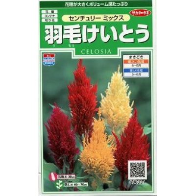 画像1: 花の種　羽毛けいとう　センチュリーミックス　約143粒　サカタのタネ（株）実咲250