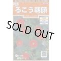 送料無料　花の種　るこう朝顔　約22粒　(株)サカタのタネ　実咲200（026371）