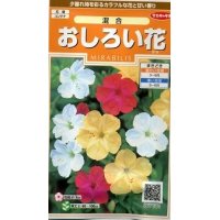 花の種　おしろい花　約15粒　 　サカタのタネ（株）実咲200