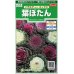 画像1: 花の種 　葉ぼたん　バラエティーミックス　約40粒　サカタのタネ（株）実咲250 (1)