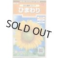 送料無料　花の種　ひまわり　巨大輪咲　ロシア　約20粒　(株)サカタのタネ　実咲200（026349）