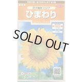 送料無料　花の種　ひまわり　巨大輪咲　ロシア　約20粒　(株)サカタのタネ　実咲200（026349）