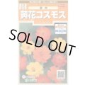 送料無料　花の種　黄花コスモス　約58粒　(株)サカタのタネ　実咲200（026330）