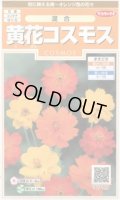送料無料　花の種　黄花コスモス　約58粒　(株)サカタのタネ　実咲200（026330）