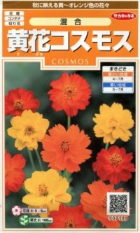 花の種　黄花コスモス　約58粒　　サカタのタネ（株）　実咲200