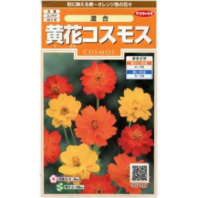 画像1: 花の種　黄花コスモス　約58粒　　サカタのタネ（株）　実咲200