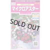 送料無料　花の種　マイクロアスター　ステラミックス　約75粒　(株)サカタのタネ　　実咲350（026085）