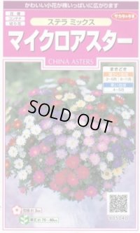 送料無料　花の種　マイクロアスター　ステラミックス　約75粒　(株)サカタのタネ　　実咲350（026085）