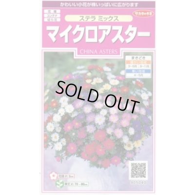画像1: 送料無料　花の種　マイクロアスター　ステラミックス　約75粒　(株)サカタのタネ　　実咲350（026085）
