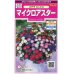 画像1: 花の種　マイクロアスター　ステラミックス　約75粒　　サカタのタネ（株）実咲350 (1)