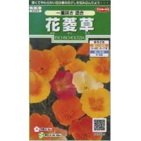 花の種　花菱草　一重咲き混合　約134粒　サカタのタネ（株）実咲250