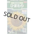 送料無料　花の種　ひまわり　サンスポット　約13粒　(株)サカタのタネ　実咲250（026275）