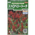 送料無料　花の種　クリムゾンクローバー　ストロベリートーチ　約190粒　(株)サカタのタネ　実咲250（026253）