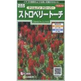送料無料　花の種　クリムゾンクローバー　ストロベリートーチ　約190粒　(株)サカタのタネ　実咲250（026253）
