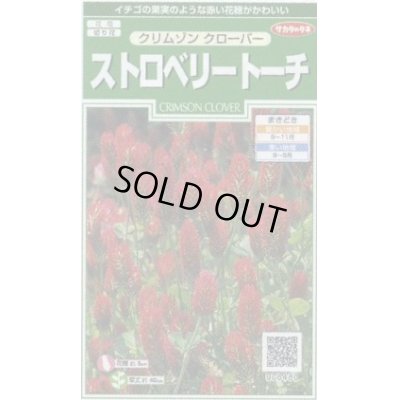 花の種 クリムゾンクローバー ストロベリートーチ 約1粒 サカタのタネ 花種 花種 小袋 秋まき グリーンロフトネモト直営