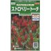 画像1: 花の種 　クリムゾンクローバー　ストロベリートーチ　約188粒　サカタのタネ（株）実咲250 (1)