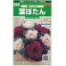 画像1: 花の種 　葉ぼたん　華ミックス　約40粒　サカタのタネ（株）実咲250 (1)