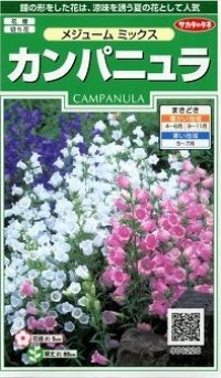 花の種　カンパニュラ　メジュームミックス　約310粒　　サカタのタネ（株）実咲250