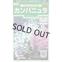 送料無料　花の種　カンパニュラ　メジュームミックス　約210粒　　(株)サカタのタネ　実咲250（026220）