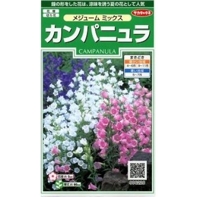 画像1: 花の種　カンパニュラ　メジュームミックス　約310粒　　サカタのタネ（株）実咲250