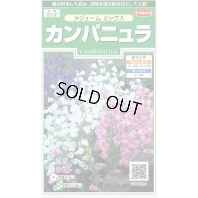 画像1: 花の種 カンパニュラ メジュームミックス 約210粒 (株)サカタのタネ 実咲250(026220)