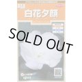 送料無料　花の種　白花夕顔　約9粒　(株)サカタのタネ　実咲200（026367）