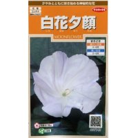 花の種　白花夕顔　約9粒　サカタのタネ（株）実咲200