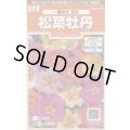 送料無料　花の種　松葉牡丹　一重咲き混合　約215粒　(株)サカタのタネ　実咲200（026357）