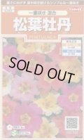 送料無料　花の種　松葉牡丹　一重咲き混合　約215粒　(株)サカタのタネ　実咲200（026357）