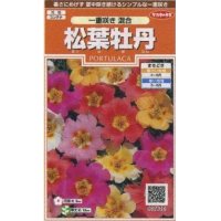 花の種　松葉牡丹　一重咲き混合　約215粒　サカタのタネ（株）実咲200