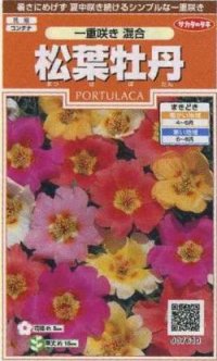 花の種　松葉牡丹　一重咲き混合　約215粒　サカタのタネ（株）実咲200