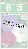 送料無料　花の種　朝顔　西洋系混合　約14粒　(株)サカタのタネ　実咲250（026200）