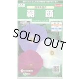 送料無料　花の種　朝顔　西洋系混合　約14粒　(株)サカタのタネ　実咲250（026200）