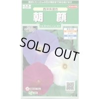 送料無料　花の種　朝顔　西洋系混合　約14粒　(株)サカタのタネ　実咲250（026200）