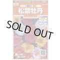 送料無料　花の種　松葉牡丹　八重咲き混合　約215粒　(株)サカタのタネ　実咲200（026358）