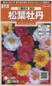 花の種　松葉牡丹　八重咲き混合　約215粒　サカタのタネ（株）実咲200