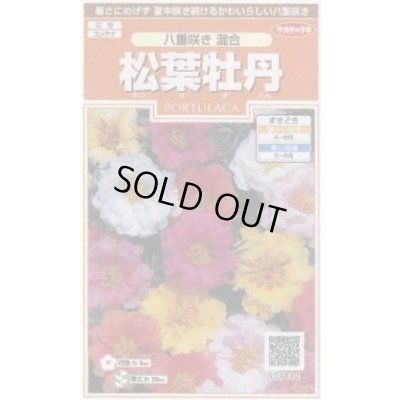 画像1: 送料無料　花の種　松葉牡丹　八重咲き混合　約215粒　(株)サカタのタネ　実咲200（026358）